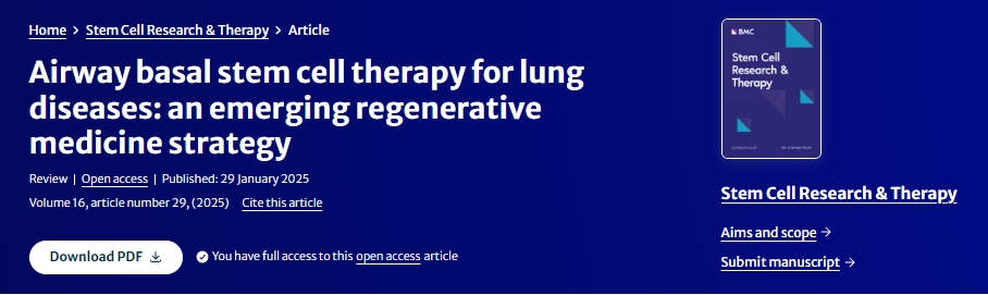 氣道基礎干細胞治療肺部疾?。阂环N新興的再生醫學策略