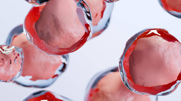 臍帶血干細胞移植的優缺點有哪些:30kg以下首選,成人應用存在瓶頸 臍帶血干細胞移植的優缺點有哪些:30kg以下首選,成人應用存在瓶頸