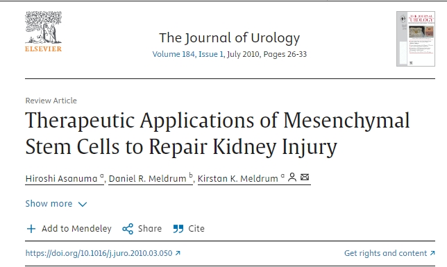 間充質干細胞在修復腎臟損傷的治療應用