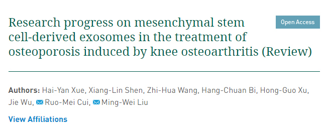 間充質干細胞來源的外泌體治療膝骨關節(jié)炎所致骨質疏松癥的研究進展