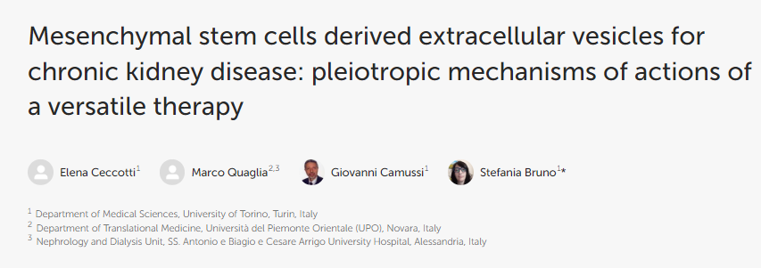 間充質干細胞衍生的細胞外囊泡用于治療慢性腎臟病：多功能療法的多效作用機制