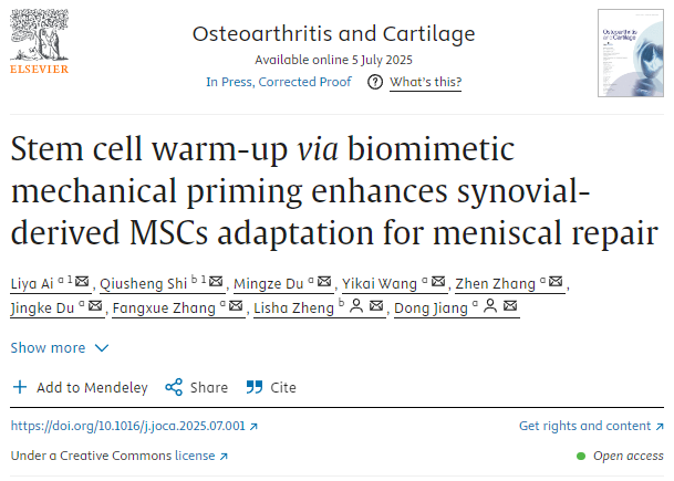 通過仿生機械啟動進行干細胞預熱
可增強滑膜來源的MSCs對半月板修復的適應性