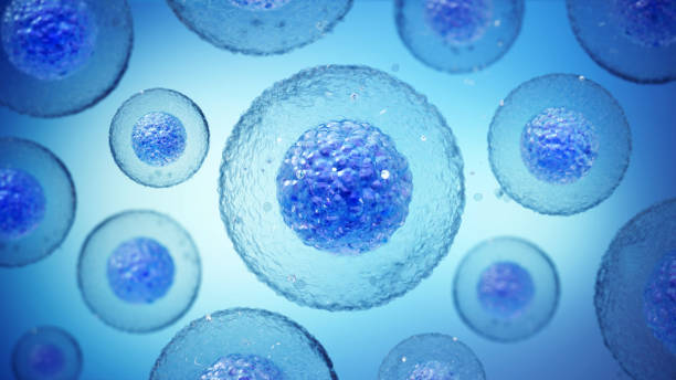 干細胞治療神經(jīng)退行性疾病的干細胞類型都有哪些？