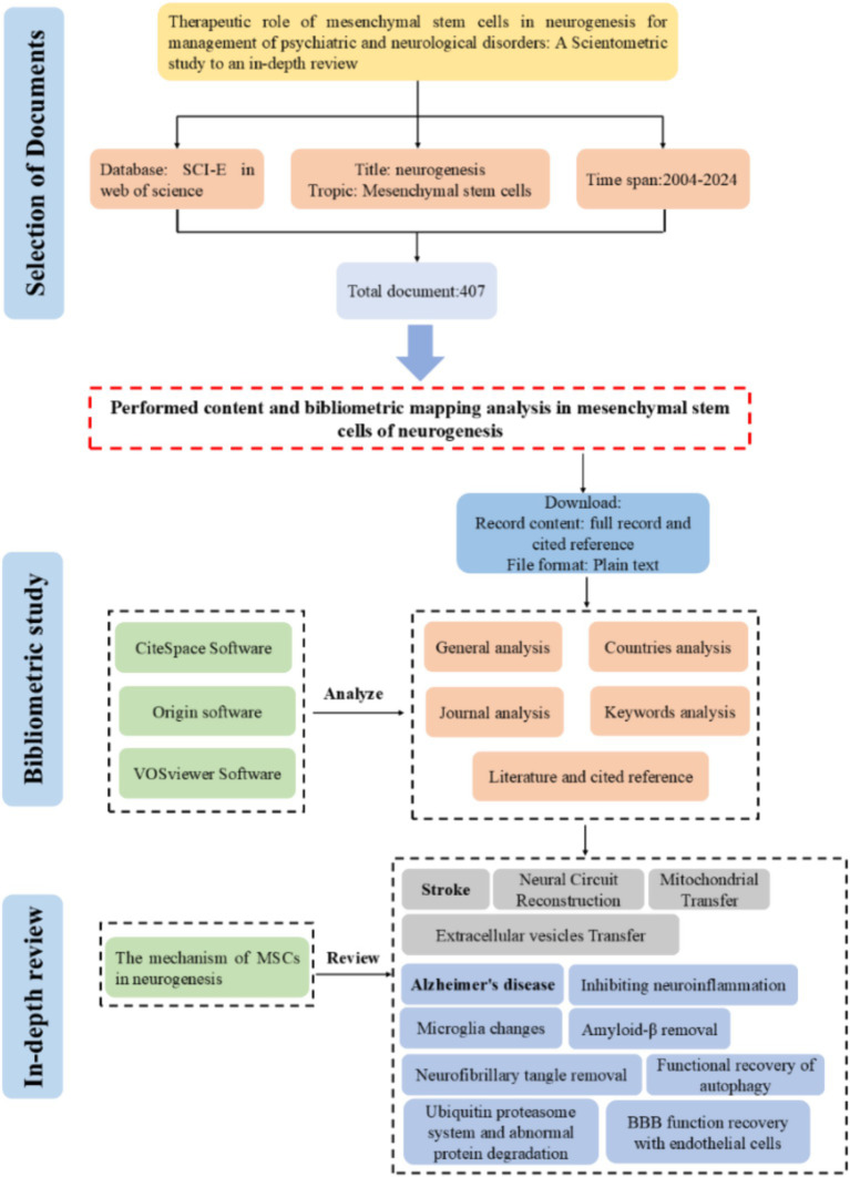 圖1：間充質(zhì)干細(xì)胞在神經(jīng)發(fā)生方面的研究工作流程