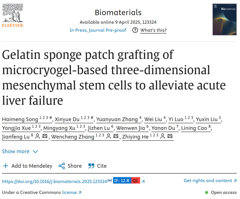 明膠海綿貼片移植微低溫凝膠基三維間充質(zhì)干細(xì)胞以緩解急性肝衰竭