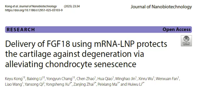 使用 mRNA-LNP 遞送 FGF18 可通過緩解軟骨細胞衰老來保護軟骨免于退化 使用 mRNA-LNP 遞送 FGF18 可通過緩解軟骨細胞衰老來保護軟骨免于退化
