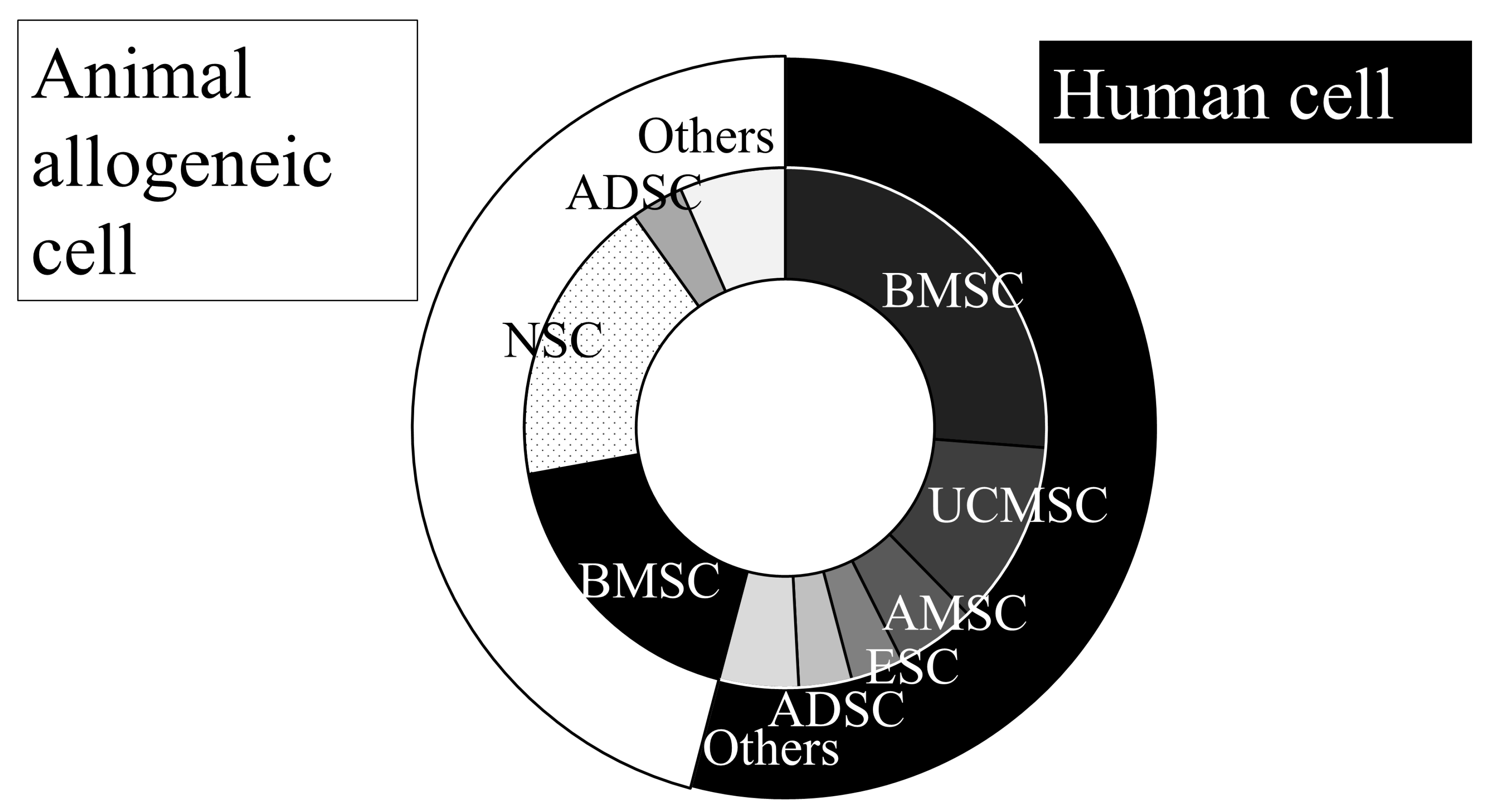 圖1：動脈內移植動物實驗所用的細胞來源。