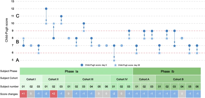 圖2:從基線到第28天,個人Child-Pugh評分的變化。 圖2:從基線到第28天,個人Child-Pugh評分的變化。