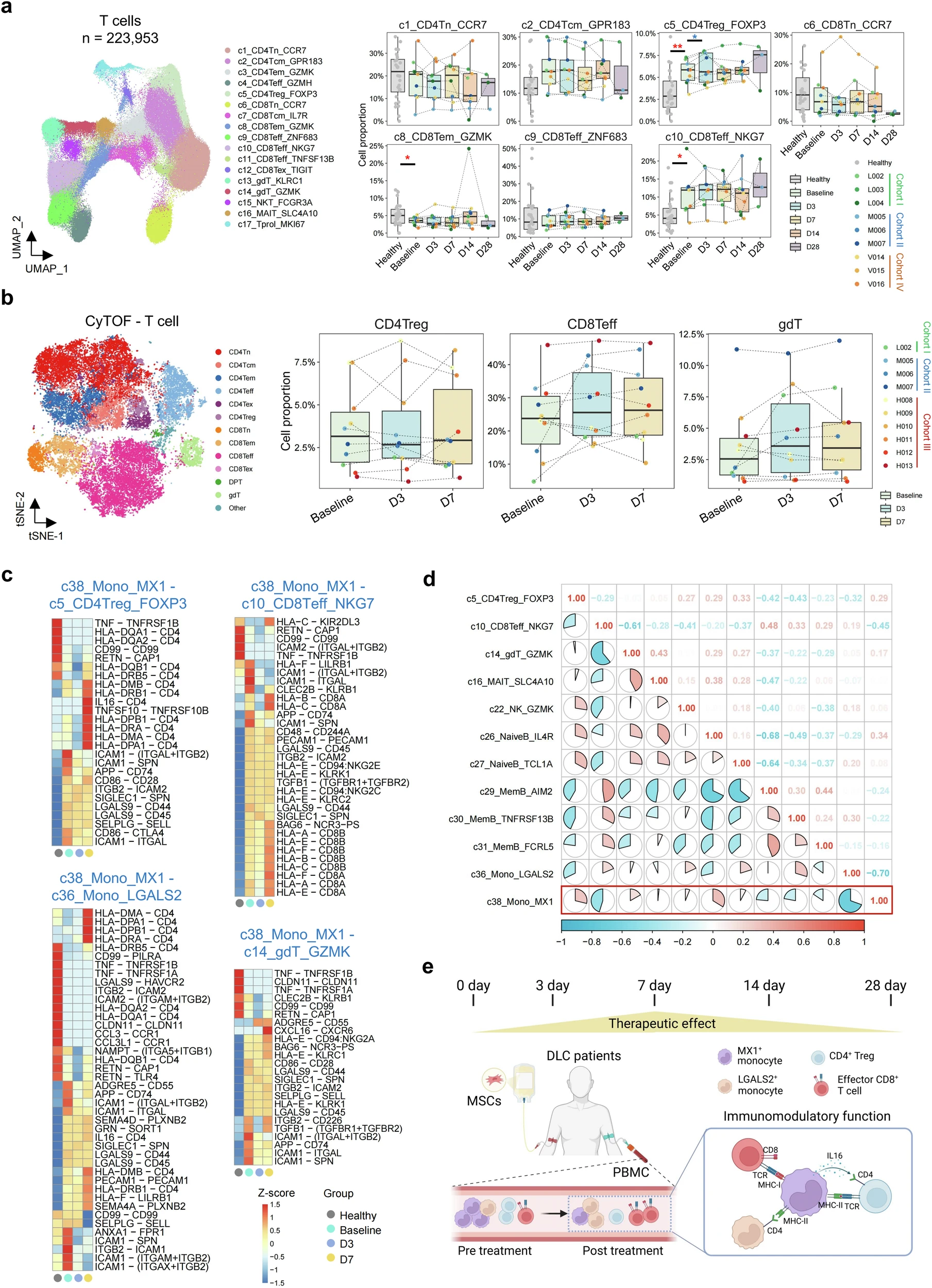 圖4:MSC治療下DLC患者中其他免疫細胞的變化及其與單核細胞的相互作用。 圖4:MSC治療下DLC患者中其他免疫細胞的變化及其與單核細胞的相互作用。