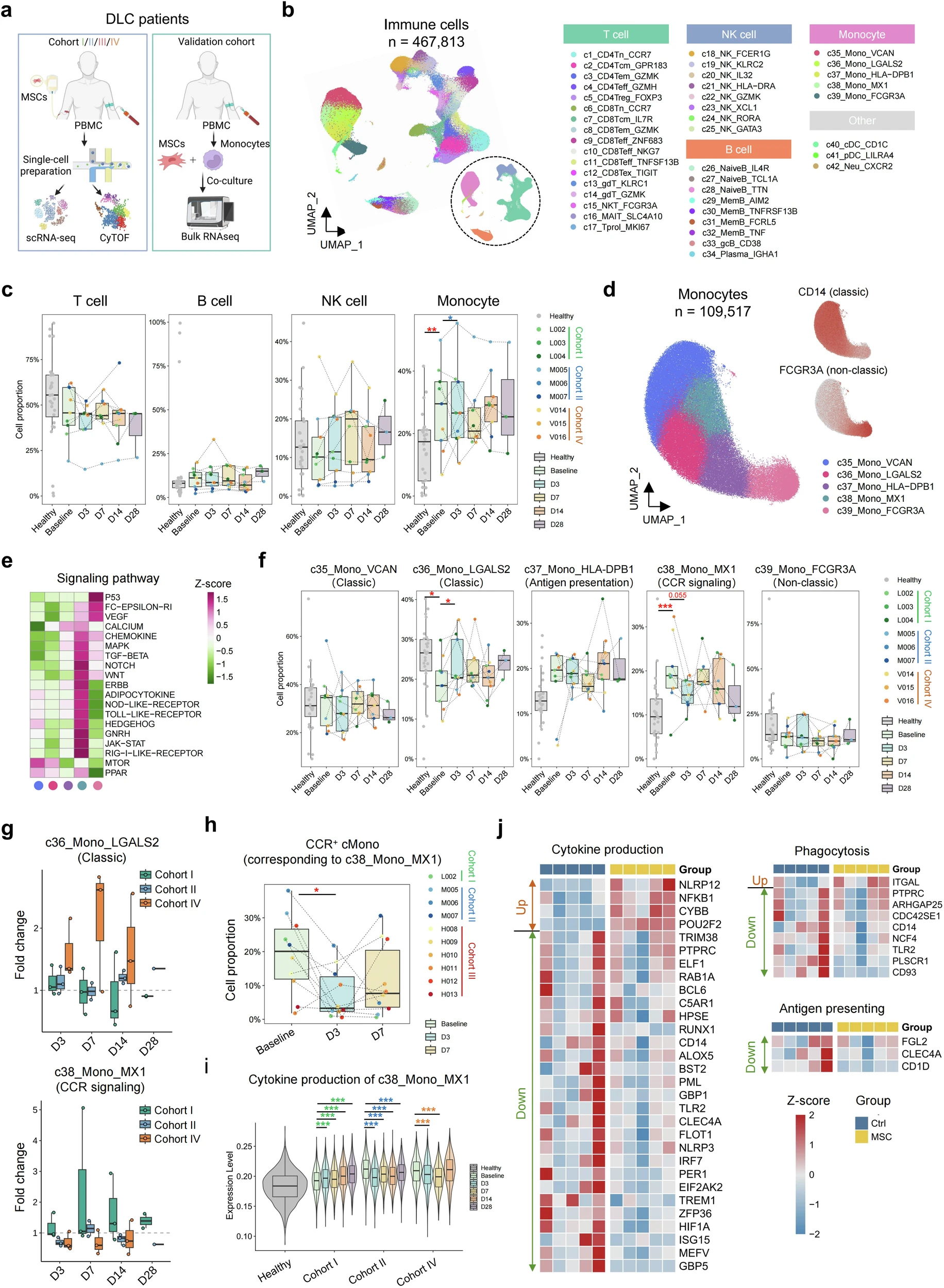 圖3:MSC治療下DLC患者的動態(tài)單細胞景觀 圖3:MSC治療下DLC患者的動態(tài)單細胞景觀