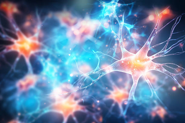 神經(jīng)干細胞移植能治療哪些疾病？包含帕金森、脊髓損傷等6大適應(yīng)癥