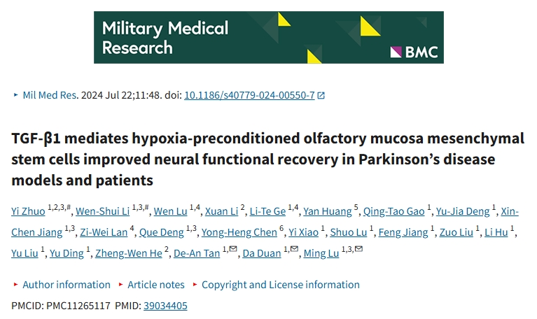 TGF-β1介導缺氧預處理的嗅黏膜間充質(zhì)干細胞改善帕金森病模型和患者的神經(jīng)功能恢復 TGF-β1介導缺氧預處理的嗅黏膜間充質(zhì)干細胞改善帕金森病模型和患者的神經(jīng)功能恢復