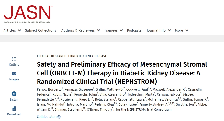 間充質(zhì)基質(zhì)細(xì)胞（ORBCEL-M）治療糖尿病腎病的安全性和初步療效：一項(xiàng)隨機(jī)臨床試驗(yàn)（NEPHSTROM）