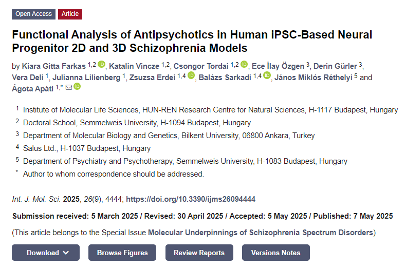抗精神病藥物在基于人類 iPSC 的神經(jīng)祖細(xì)胞2D和3D精神分裂癥模型中的功能分析 抗精神病藥物在基于人類 iPSC 的神經(jīng)祖細(xì)胞2D和3D精神分裂癥模型中的功能分析