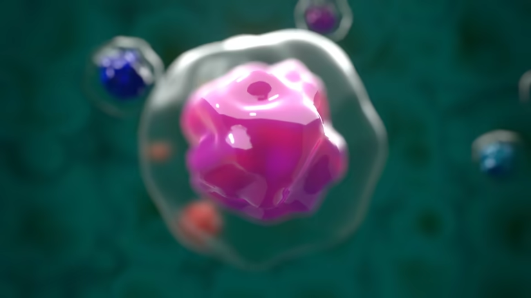 重磅解讀：干細胞如何修復1型糖尿病？3大核心作用機制全解析