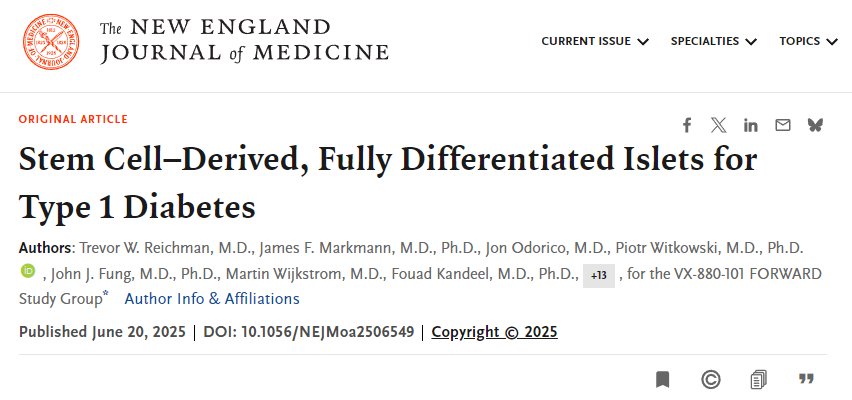 干細胞來源的完全分化胰島用于1型糖尿病
