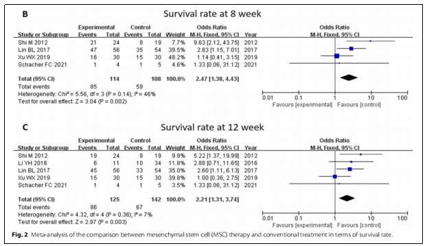 干細(xì)胞治療 干細(xì)胞治療