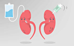干細(xì)胞療法：急性腎損傷的治療新策略，3大作用改善患者預(yù)后 | 研究綜述