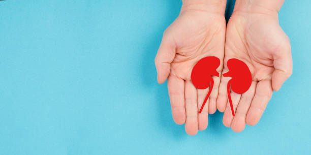 干細(xì)胞移植治療狼瘡性腎炎：I期臨床試驗(yàn)9例結(jié)果公布，療效顯著