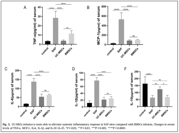 圖2：與BMSCS相比，UC-MSCs的輸注更能緩解SAP小鼠的系統性炎癥反應。