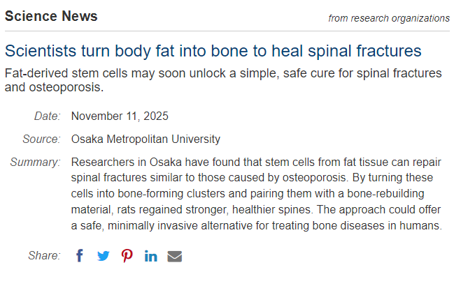 科學家將人體脂肪轉化為骨骼，用于修復脊柱骨折