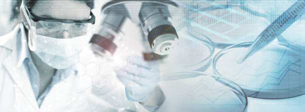 干細胞治療2型糖尿病的前景:從臨床突破看治愈希望 干細胞治療2型糖尿病的前景:從臨床突破看治愈希望