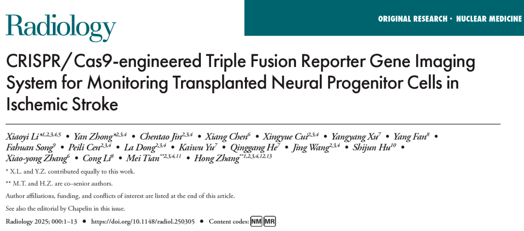 利用 CRISPR/Cas9 技術構建的三融合報告基因成像系統(tǒng)監(jiān)測缺血性中風中移植的神經祖細胞