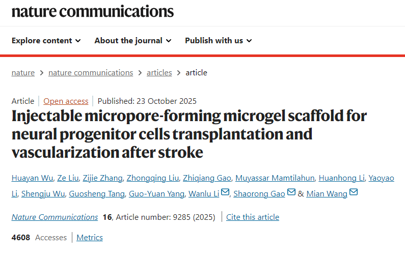 用于中風(fēng)后神經(jīng)祖細(xì)胞移植和血管化的可注射微孔形成微凝膠支