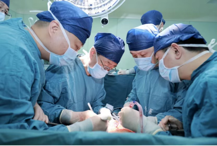 西京醫(yī)院肝膽外科竇科峰院士、楊詔旭副教授等為受體移植豬肝 西京醫(yī)院肝膽外科竇科峰院士、楊詔旭副教授等為受體移植豬肝