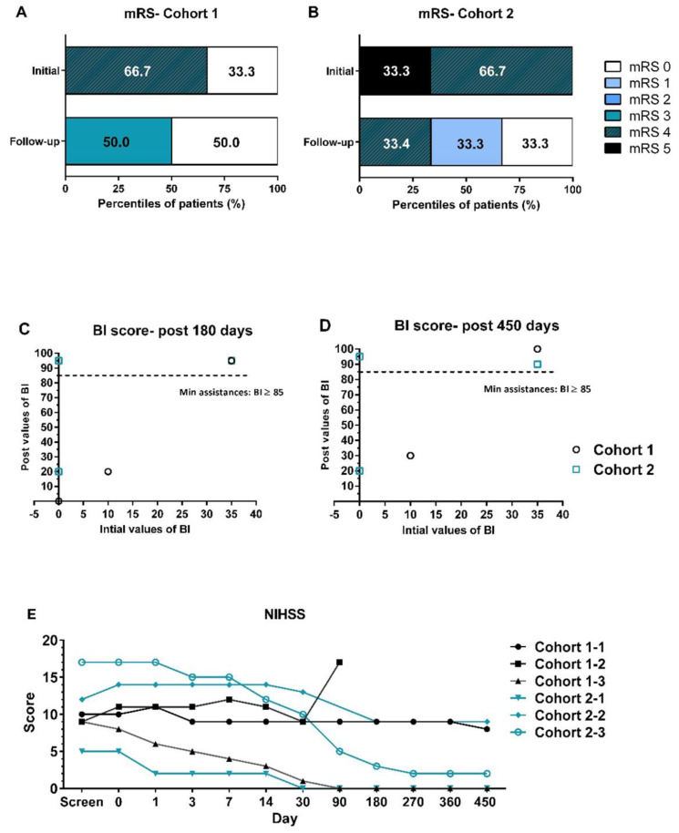 圖2：采用改良Rankin量表（mRS）、美國國立衛生研究院卒中量表（NIHSS）和Barthel指數（BI）進行臨床功能評估。?(A, B) 隊列1和隊列2在基線和隨訪結束時的mRS評分分布。(C, D) 所有患者在初始篩選時的BI評分值與治療后180天和450天的BI評分值進行比較。(E) 所有患者在整個試驗期間的NIHSS評估。
